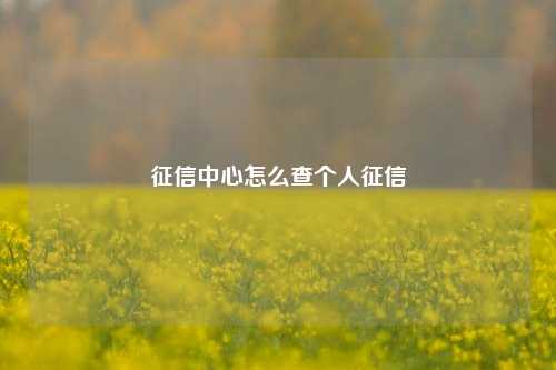 征信中心怎么查个人征信